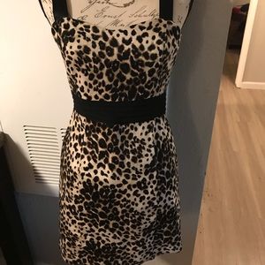 XXI short Leopard print dress